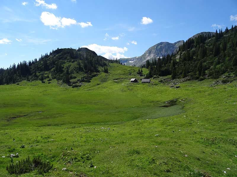 Buchbergkogel